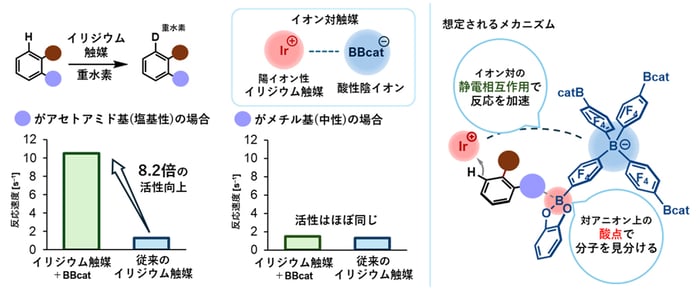 fig3