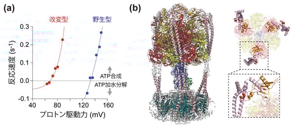 fig2