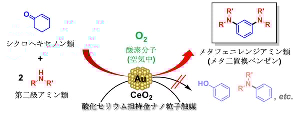 空気中酸素を酸化剤としたメタ二置換ベンゼンの一段階合成～金ナノ粒子触媒が従来型選択性を打破し、環境にやさしい新合成を開拓～