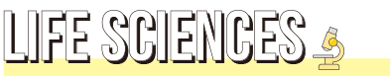 ls