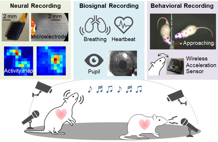 Shiramatsu-research-en