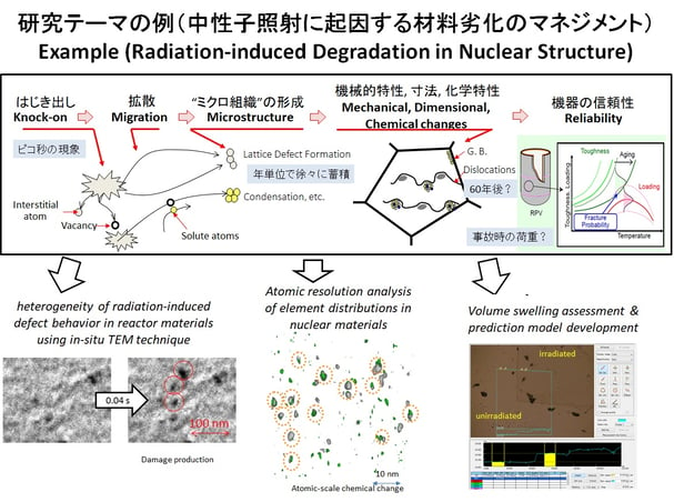 murakami-research