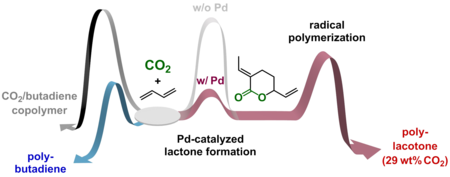 copolymer carbondioxide