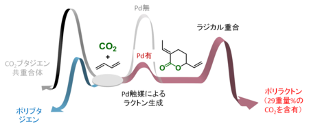 copolymer