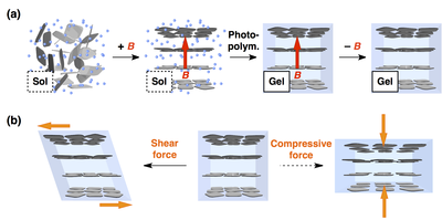 a novel hydrogel