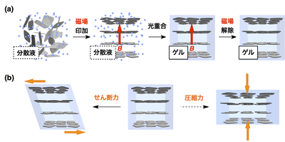 a novel hydrogel