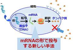 201502_kataoka1.jpgのサムネール画像