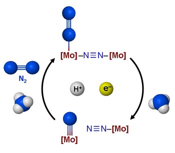 Nreaction.jpgのサムネール画像のサムネール画像