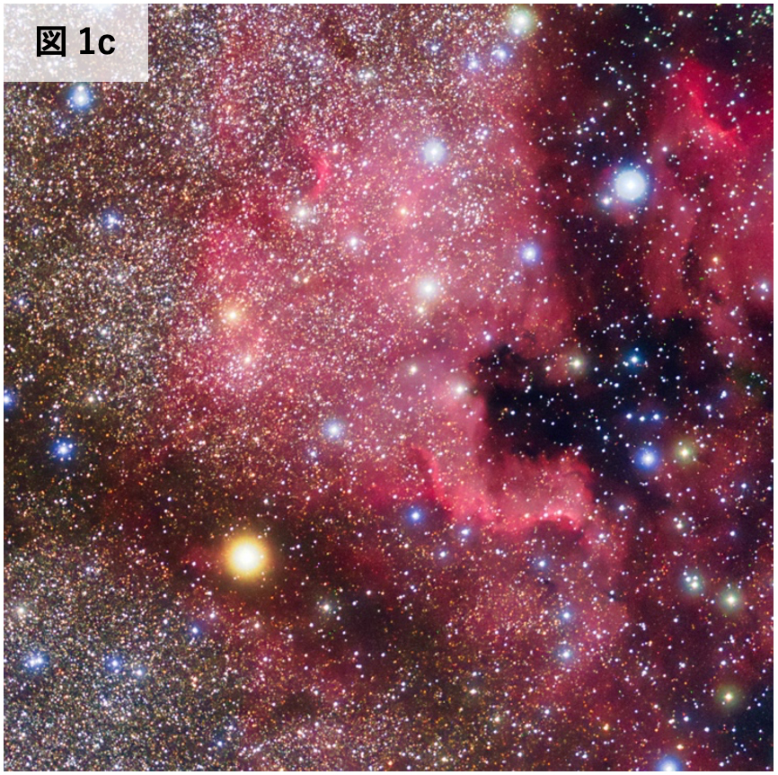 fig1-c
