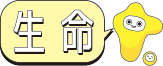 seimei04 seimei04