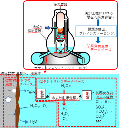 東京大学工学部 1f の格納容器内にたまった水の中で金属材料はどう腐食するのか 放射線環境下での腐食データベースの構築